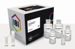 Viral Nucleic Acid Extraction Kit | For : 100 preps
